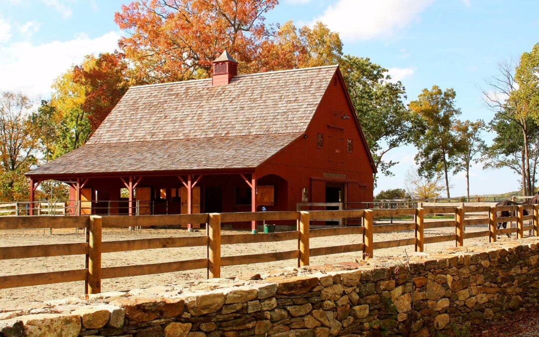 Specialty Barns Virtual Tour